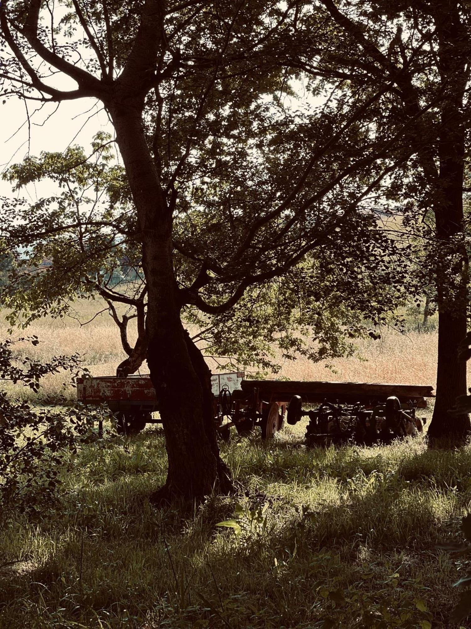 Il Felcino Villa Fabro Luaran gambar